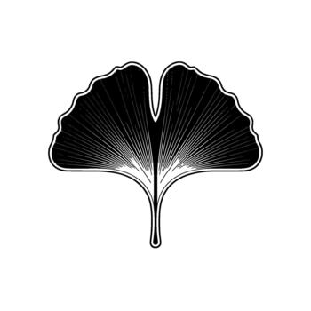 A minimalist illustration of a single ginkgo biloba leaf with radiating lines creating a stylized fan shape vector