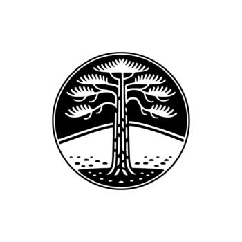 minimalista emblema representando un estilizado araucaria árbol con radiante ramas y follaje adjunto dentro un circular marco vector
