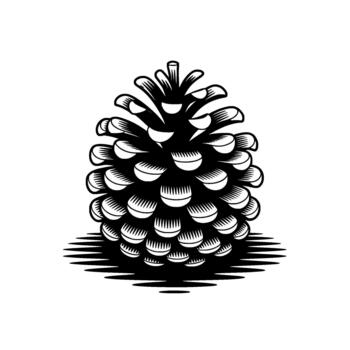A striking illustration of a detailed pinecone with sharp scales casting a stylized shadow vector