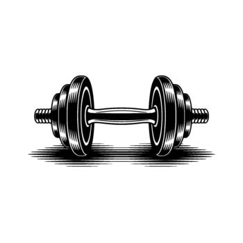 monocromo ilustración de un cromo pesa con texturizado peso platos y un central agarre bar fundición un distinto eclosionado sombra vector