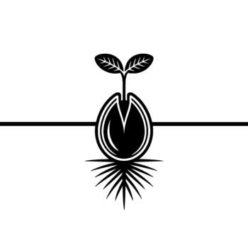 Stylized depicting a seed with emerging roots and two new leaves bursting forth representing growth and new beginnings vector