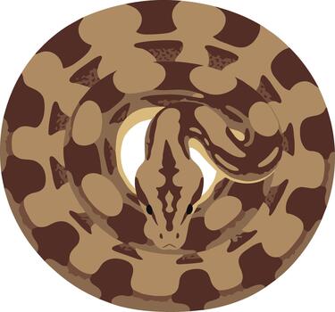 Coiled brown patterned snake illustration from a top-down view. vector