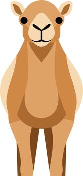 Stylized cartoon camel standing in a frontal view illustration. vector