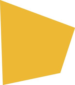 Geometric Asymmetrical Polygon Shape vector