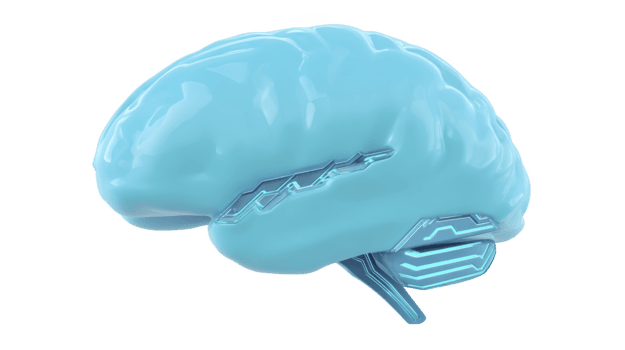 futurista azul cerebro con digital circuito patrón, simbolizando artificial inteligencia, tecnología, innovación, y moderno ciencia, aislado en transparencia antecedentes png