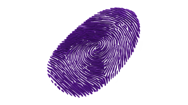 lila fingeravtryck isolerat på transparent bakgrund biometrisk Identifiering säkerhet begrepp unik mönster digital tillgång personlig identitet teknologi forensisk analys abstrakt konst png