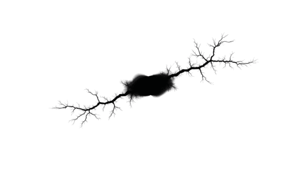 fractal patroon zwart abstract vorm digitaal kunst wiskundig ontwerp geïsoleerd Aan transparantie achtergrond ingewikkeld vertakking modern creatief uniek wetenschap geïnspireerd png