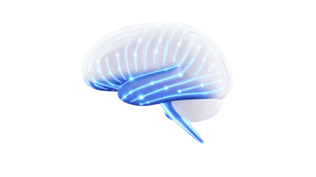 branco cérebro com azul brilhando neural rede, digital linhas, e futurista tecnologia conceito, isolado transparente fundo, simbolizando artificial inteligência, inovação, e mental png