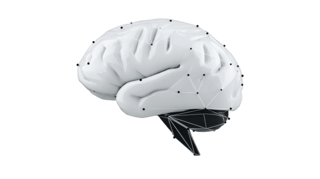 bianca umano cervello modello con geometrico poligonale connessioni, simboleggiante artificiale intelligenza, tecnologia, e innovazione, isolato su trasparente sfondo png