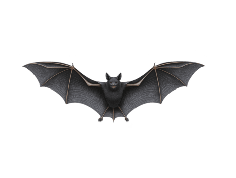 nero pipistrello con disteso Ali, dettagliato pelliccia, e acuto zanne, volante nel davanti Visualizza, isolato su trasparente sfondo, evoca spaventoso e misterioso atmosfera png