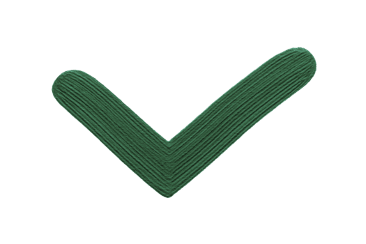 Green check mark with textured brushstroke style, symbolizing approval, success, or confirmation, isolated on transparent background for versatile use in digital design projects png