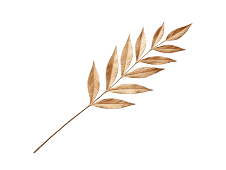 secco d'oro foglia ramo isolato su trasparenza sfondo, elegante botanico elemento con naturale struttura, Perfetto per autunno, minimo, rustico, o decorativo disegno, evocando calma e calore png