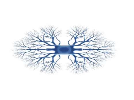 simétrico azul árvore galhos Formato abstrato padronizar em transparência fundo, semelhante a neural redes ou orgânico fractais, evocando sentido do calma e complexidade dentro natureza inspirado digital arte png