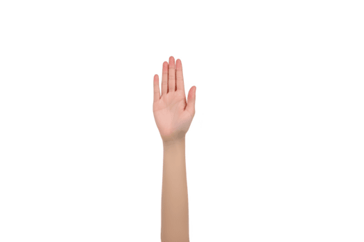 Raised hand gesture isolated on transparency background, palm facing forward, symbolizing greeting, volunteering, or asking question, with soft lighting and clear details png