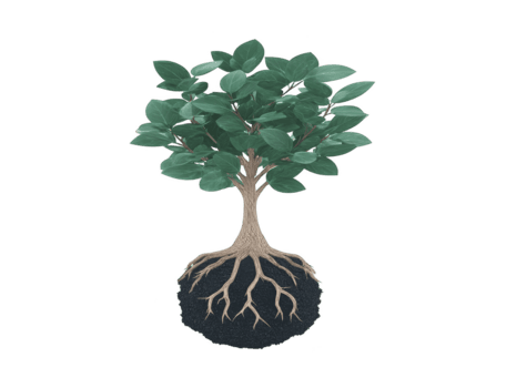 Tree with green leaf, visible root, and soil isolated on transparent background, symbolizing growth, nature, and environmental conservation, perfect for educational or eco friendly concepts png