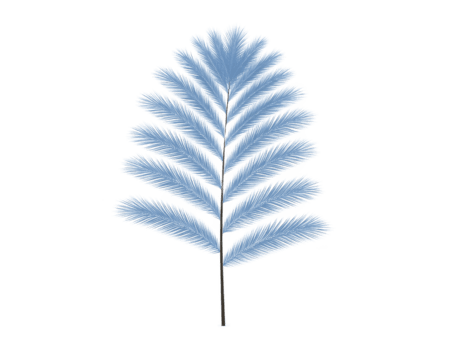 blå handflatan blad isolerat på transparent bakgrund, terar delikat fjäderlätt textur och symmetrisk mönster, perfekt för tropisk, sommar, eller botanisk design projekt png