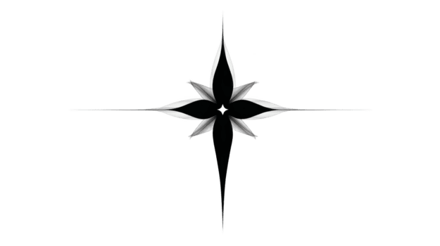 nero e bianca bussola rosa con acuto punti, simmetrico geometrico stella disegno, moderno astratto stile, isolato su trasparente sfondo, elegante e minimalista, navigazione simbolo png