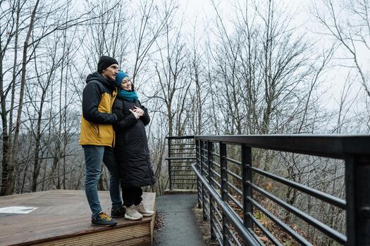 couple on lookout platform overlooking trees, quiet contemplation and distant view, metal railing and leafless branches, muted palette and introspective atmosphere during late season walk photo