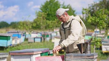vuxen manlig apiarist drar ett tömma halvram ut av en bikupa. man ler tillfredsställande och tar annan ram med bin till plats den i de bikupa. video