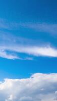 Amazing azure sky with cirro-cumulus white clouds. Light clouds change into heavy grey once. Low angle view. Timelapse. Vertical video