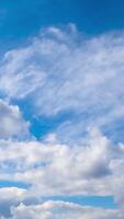Lovely soft clouds changing shapes quickly in the sky. Diverse types of clouds in atmosphere. Low angle view. Timelapse. Vertical video