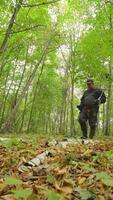 en man klädd i svart står i en vibrerande grön skog, använder sig av en metall detektor på de jord täckt med fallen löv. omgivande träd skapa en lugn miljö. video
