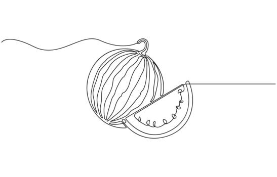 Continuous one line drawing of Vibrant watermelon slice illustration with refreshing green and red tones vector