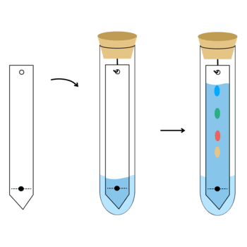 Papier Chromatographie Experiment Diagramm im ein Prüfung Rohr, Trennung von Komponenten und Analyse Technik png