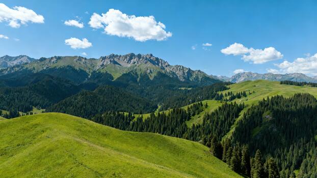 Rolling verdant hills transition into a dense evergreen forest below jagged mountain peaks under a bright blue sky. photo