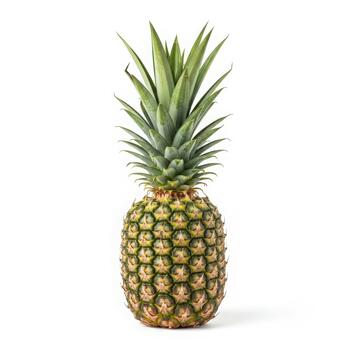 Fresco piña aislado en blanco antecedentes para verano promociones foto