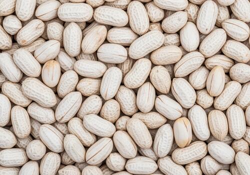 Tightly packed raw peanuts in pale off white shells full frame texture photo
