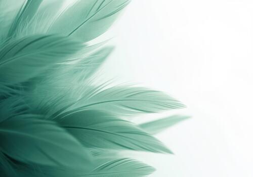 Serene soft delicate jade green feathers abstract texture background photo