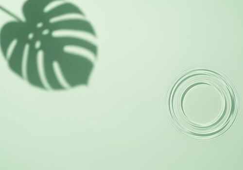 Monstera leaf shadow and serene water ripples with tranquil green tones photo