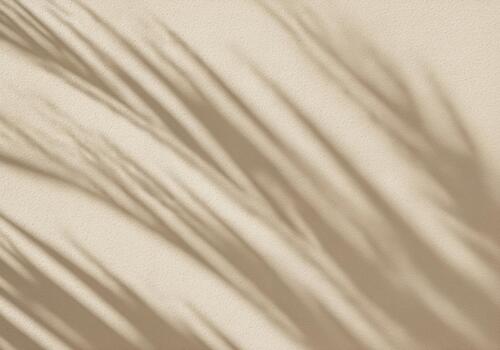 Elegant palm leaf shadows on a smooth luxurious deep beige stucco wall photo