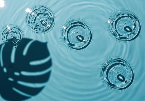 Tranquil blue water surface with concentric ripples and a monstera leaf shadow photo