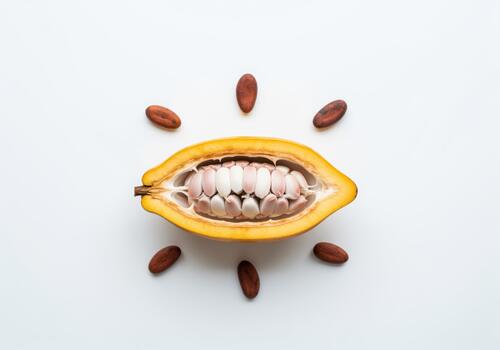 Freshly cut yellow cocoa pod with raw beans on a clean background photo
