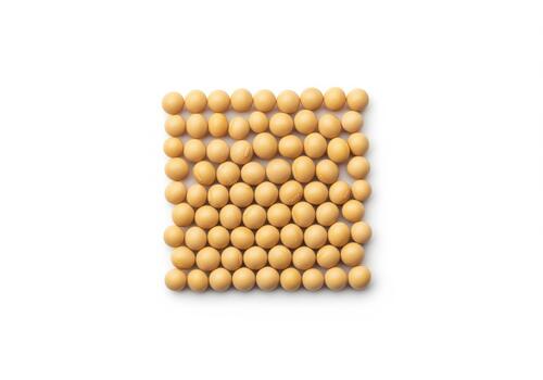 Perfectly arranged dry soybeans forming a precise square pattern photo