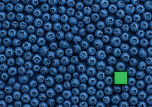 Blueberry pattern with a striking green square creating visual contrast photo