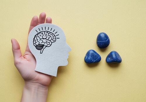 Hand holding a brain profile cutout, symbolizing mental health, intelligence, and well being. photo