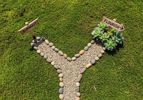 Conceptual path fork, choosing between burnout and flourish in life photo