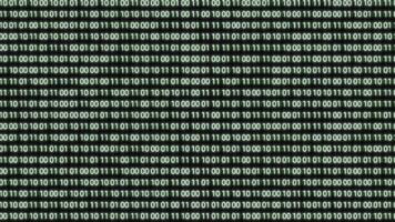 matriz binário código chuva animação em Preto fundo digital dados corrente cyber movimento gráfico video