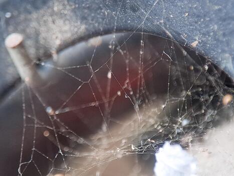 Abstract spiderweb glistening with dew drops, creating a network of delicate threads and textures. photo