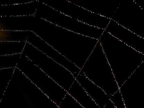 A symmetrical web glows, adorned with dewdrops, creating a striking contrast on a dark night. photo