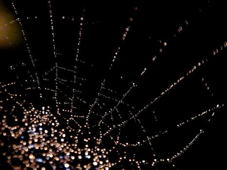 Dewdrops adorn a spiderweb at night, creating a sparkling, ethereal, abstract, and artistic view. photo