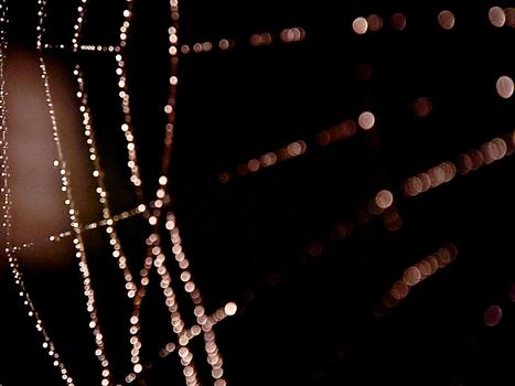 Abstract strands of soft, blurred lights create a visually interesting pattern against darkness. photo