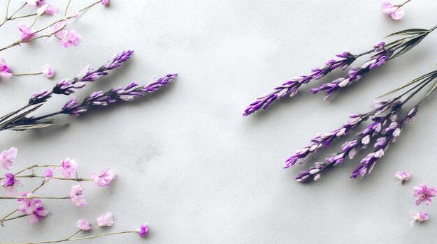 Purple Lavender and Pink Flowers Border on Textured Light Gray Background, Top View, spring photo