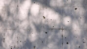 vit vägg bakgrund med naturlig blad skugga bokeh och mild solljus, skapande en lugna och luftig atmosfär för använda sig av som en natur inspirerad bakgrund. video