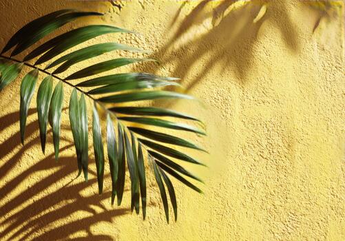 Palm leaf casting shadow on yellow textured wall photo