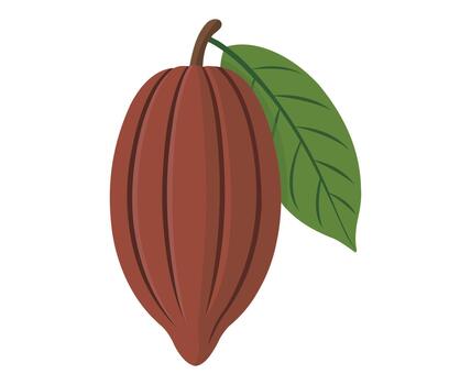 A simple illustration of a cocoa pod with a single green leaf vector