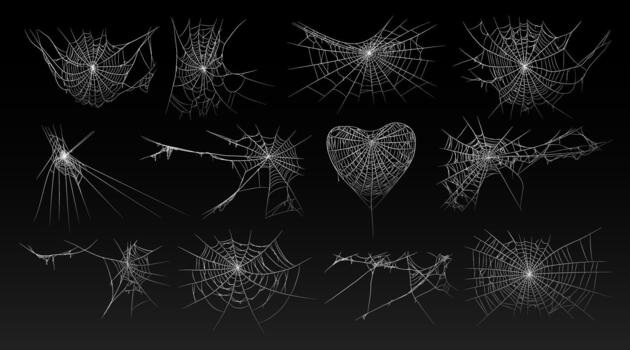 Halloween old spooky cobwebs with various sizes and shape set vector